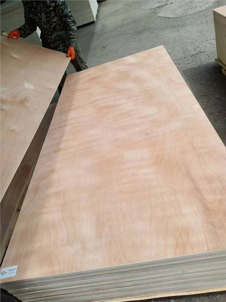 18mm OKOUME Veneer Commerical Plywood