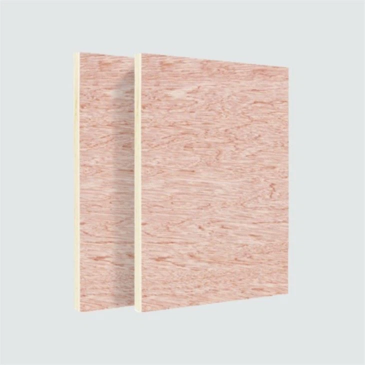 Natural Veener Plywood Industry Plain Board For Commercial Use