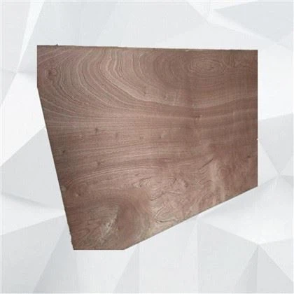 Contreplaqué Sapele Contreplaqué commercial de haute qualité avec le meilleur prix