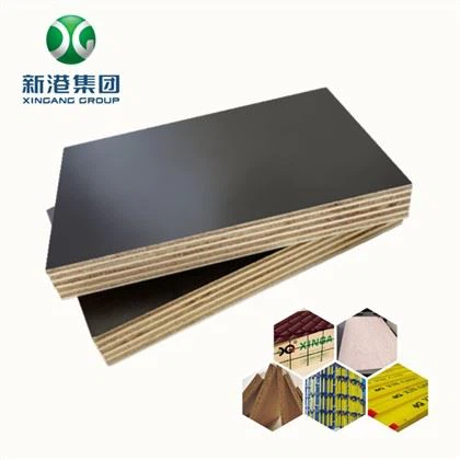 Contreplaqué recouvert de film phénolique Xingang de très bonne qualité