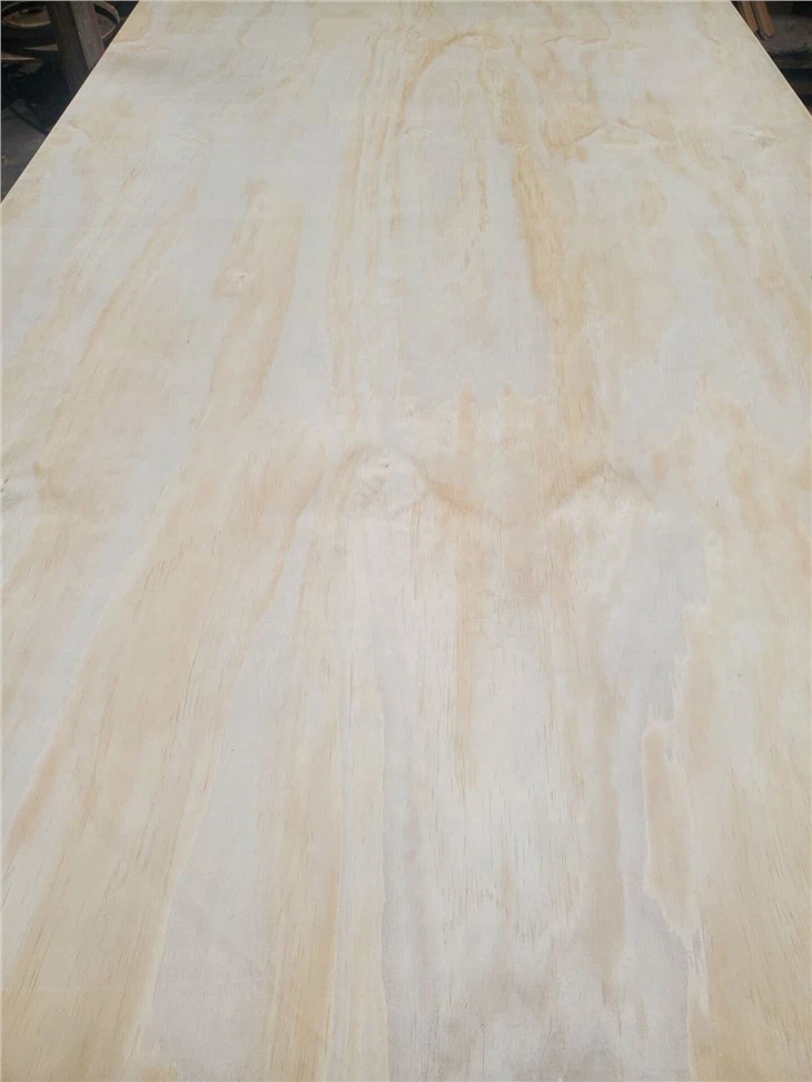 Contreplaqué Structurel Pin Face Et Dos Noyau Peuplier Contreplaqué Commercial De Haute Qualité