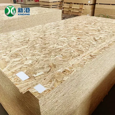 OSB 20241122