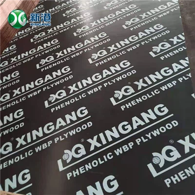 Hardwood Concrete Plywood 1220x2440mm 18mm Black Film Faced Plywood Hardwood Concrete Plywood